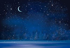 dark night winter scene snow crescent moon pine trees covered in snow